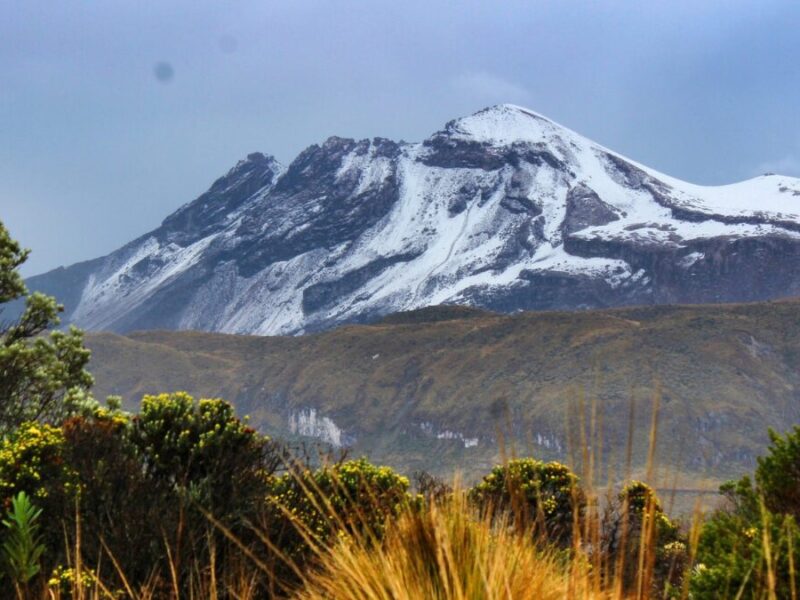 No se realizarán compras de predios en el Parque Nacional Natural de los Nevados ni en sus áreas de influencia