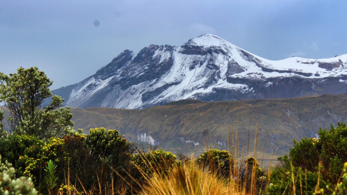 no se realizaran compras de predios en el parque nacional natural de los nevados ni en sus areas de influencia no se realizaran compras de predios en el parque nacional natural de los nevados ni en su