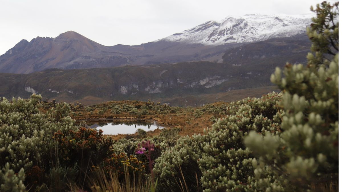 autoridades ambientales y consejera presidencial refuerzan compromisos para la proteccion del parque nacional natural los nevados copia de web 57