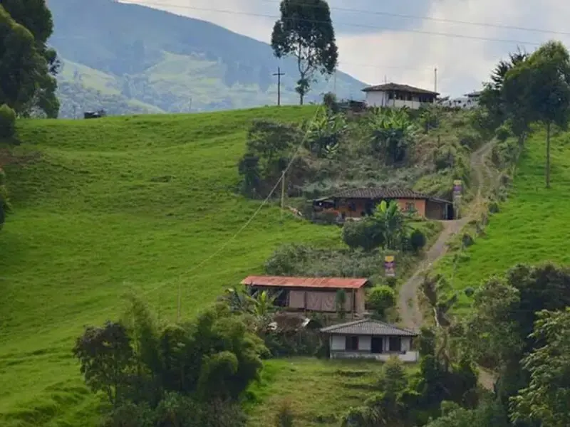 copia de web 79 copia de web 79