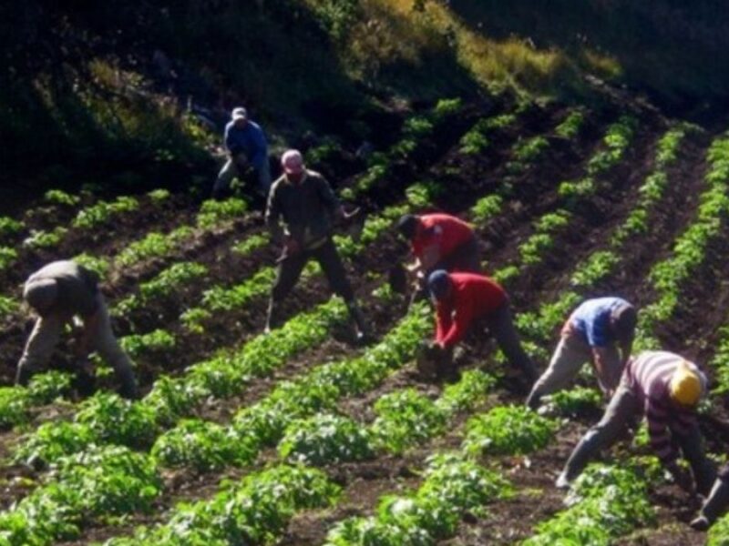 Impulsamos el progreso de nuestros campesinos en Santa Rosa de Cabal