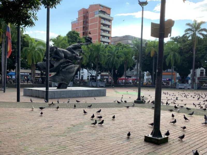 La Magia de la Navidad Iluminará a Pereira