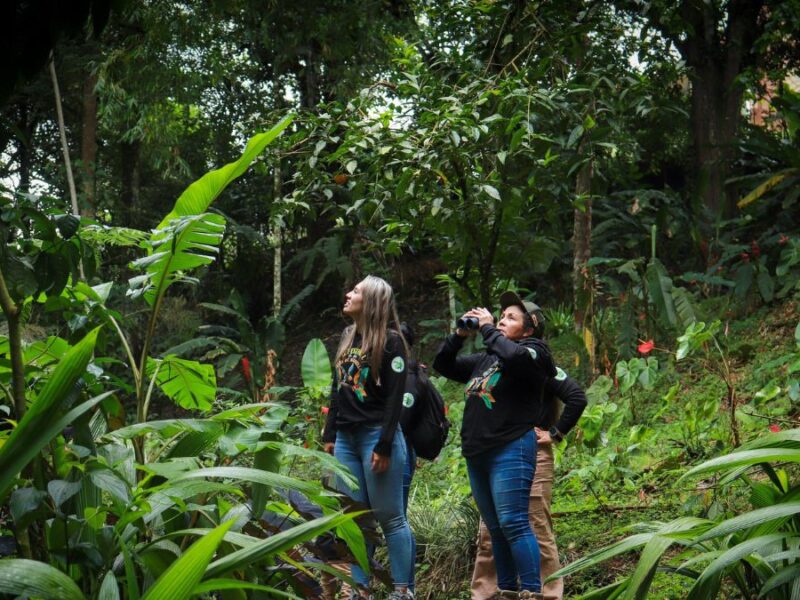 Marsella celebra la 2.ª versión del Festival de Aves, un encuentro de educación, cultura y conciencia ambiental