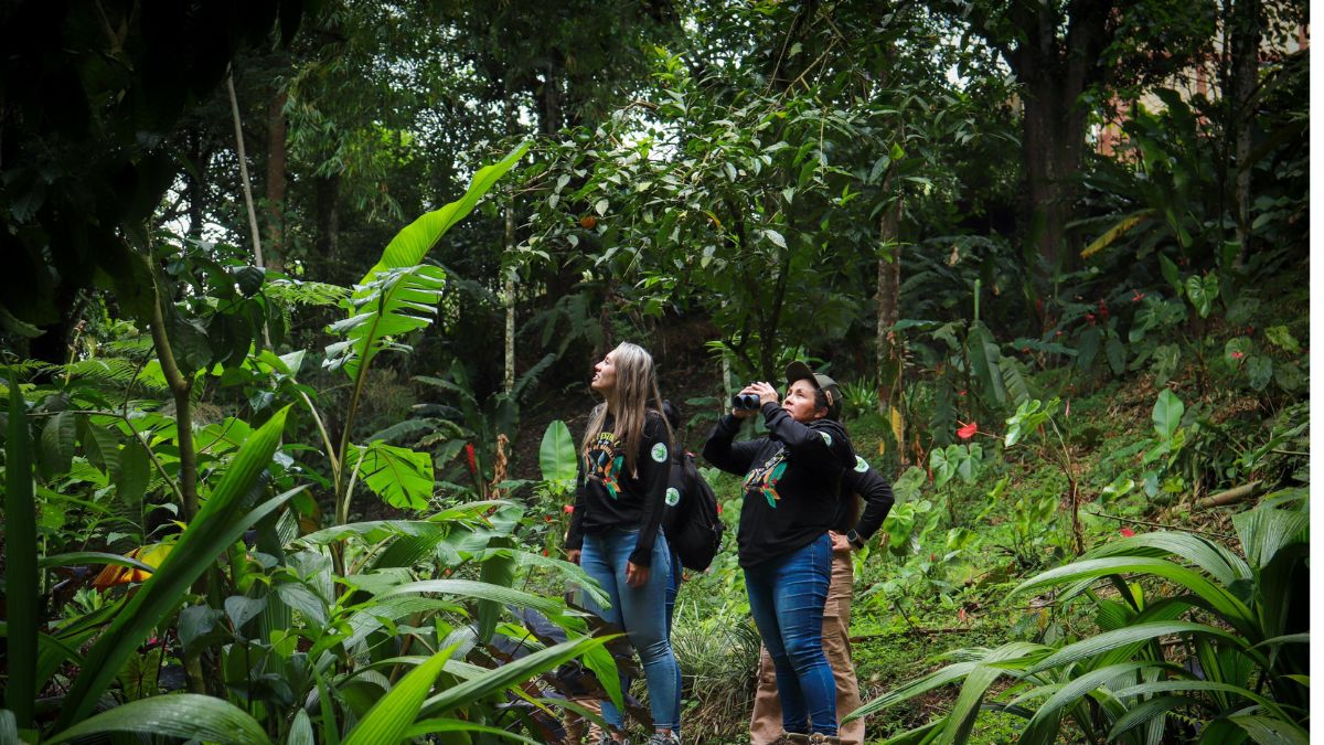 marsella celebra la 2 a version del festival de aves un encuentro de educacion cultura y conciencia ambiental copia de web 2024 11 08t112253.225