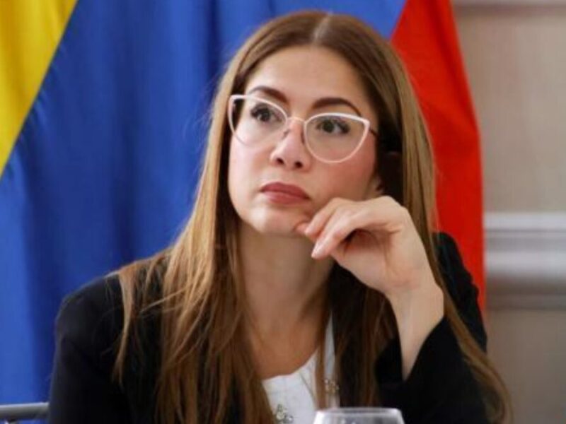 catherine juvinao aseguro que gobierno supuestamente debe mas de 1 billon de pesos a universidades publicas la presidencia lo nego catherine juvinao aseguro que gobierno supuestamente debe mas de 1 bi