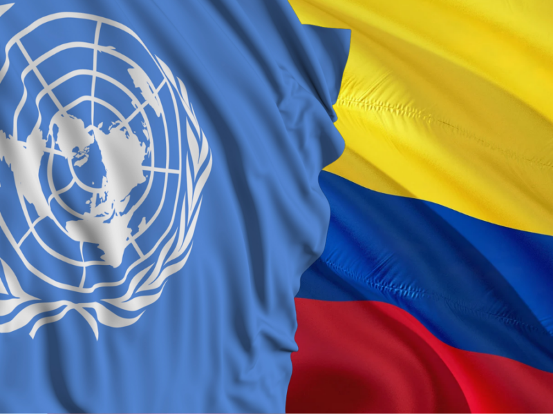 la onu en colombia se distancia de polemicas afirmaciones del comite contra la desaparicion forzada web 20241207 090043 0000