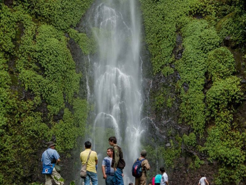 visitas responsables un compromiso con la naturaleza copia de web 61