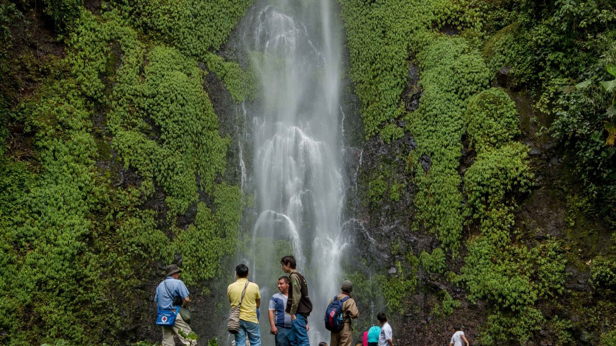 visitas responsables un compromiso con la naturaleza copia de web 61