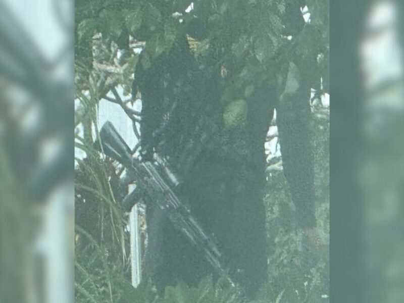 web 2024 12 13t141701.455 web 2024 12 13t141701.455 web 2024 12 13t141701.455 web 2024 12 13t141701.455