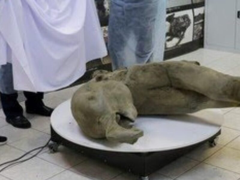 web 20241224 103359 0000 web 20241224 103359 0000 web 20241224 103359 0000 web 20241224 103359 0000