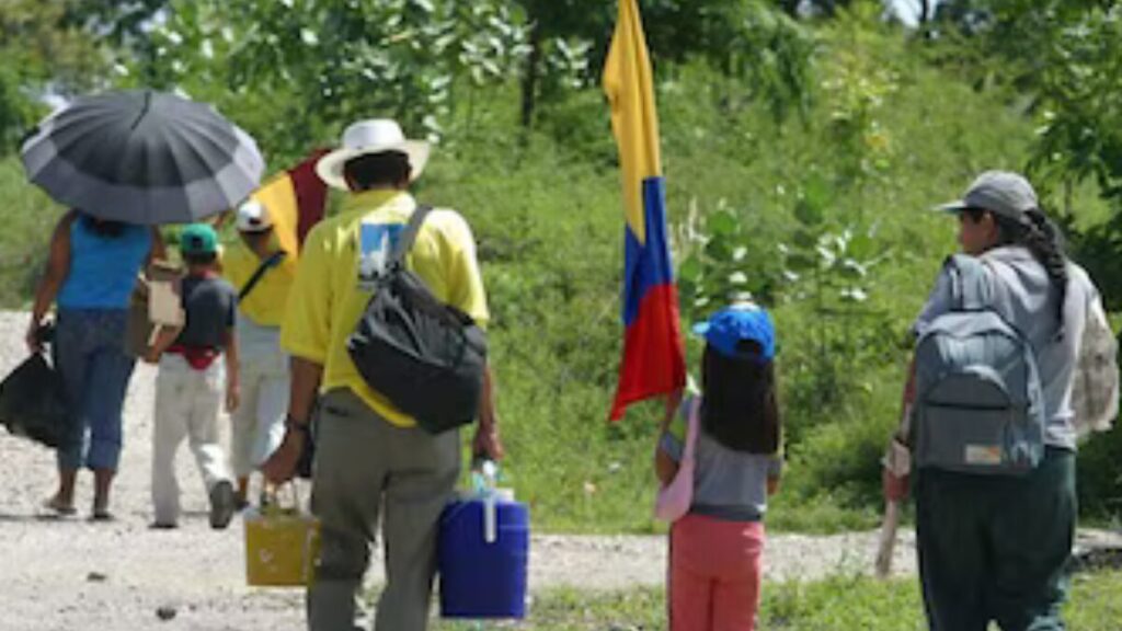 Crisis humanitaria en el Catatumbo: más de 11.000 desplazados y 80 ...