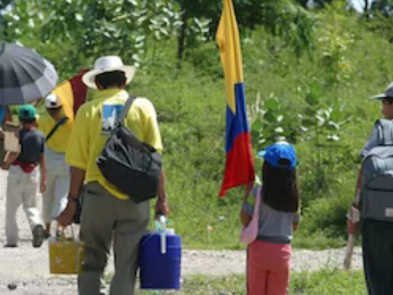 crisis humanitaria en el catatumbo mas de 11 000 desplazados y 80 muertos por la escalada de violencia crisis humanitaria en el catatumbo mas de 11 000 desplazados y 80 muertos por la escalada de viol