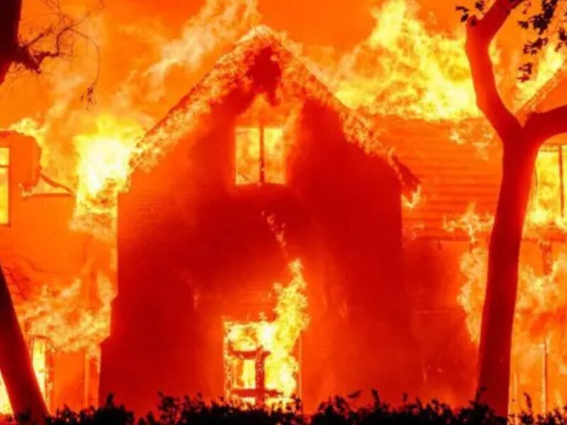 devastador incendio en los angeles devastador incendio en los angeles web 51