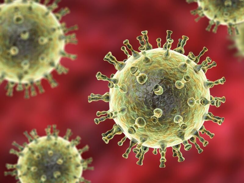 el metapneumovirus humano hmpv el nuevo virus que alerta al mundo tras casi cinco anos de pandemia el metapneumovirus humano hmpv el nuevo virus que alerta al mundo tras casi cinco anos de pandemia we