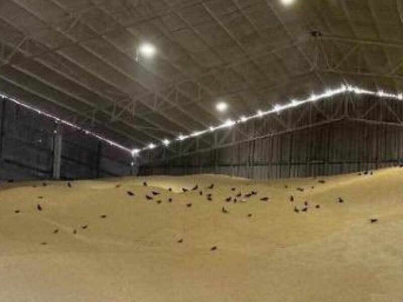 gobierno publica imagenes del estado del muelle 13 de buenaventuraen bodegas de almacenamiento gobierno publica imagenes del estado del muelle 13 de buenaventuraen bodegas de almacenamiento web 202501