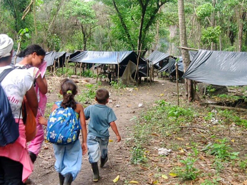 grave situacion en antioquia y bolivar por masivos desplazamientosy violencia creciente grave situacion en antioquia y bolivar por masivos desplazamientosy violencia creciente web 2025 01 27t095425.51