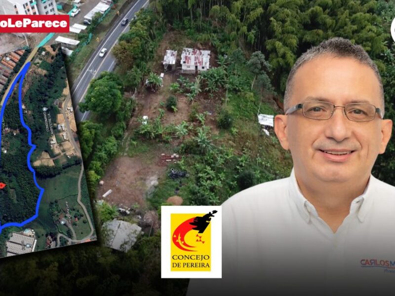 nos estan robando invaden predio de 42 000 m2 y 28 000 millones del municipio ya tiene porcicola y platanera nos estan robando invaden predio de 42 000 m2 y 28 000 millones del municipio ya tiene porc 1