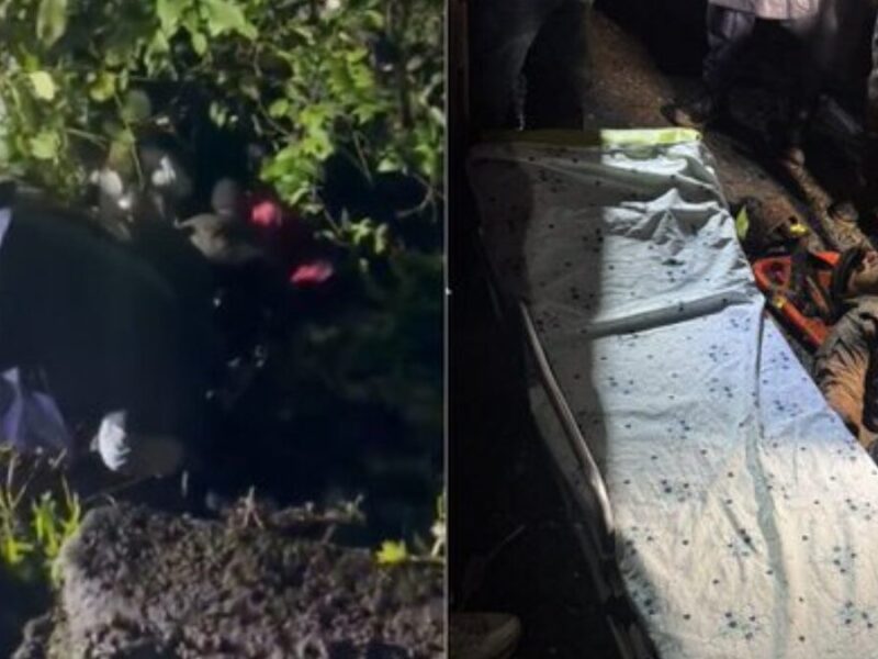 borrador automatico borrador automatico web 50