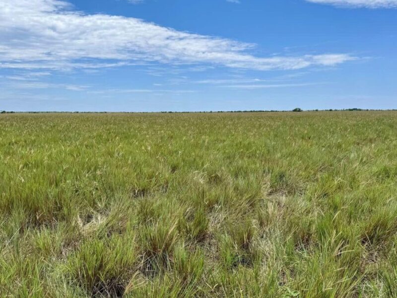 hallazgos fiscales por 160 000 millones en la agencia nacional de tierras hallazgos fiscales por 160 000 millones en la agencia nacional de tierras web 40