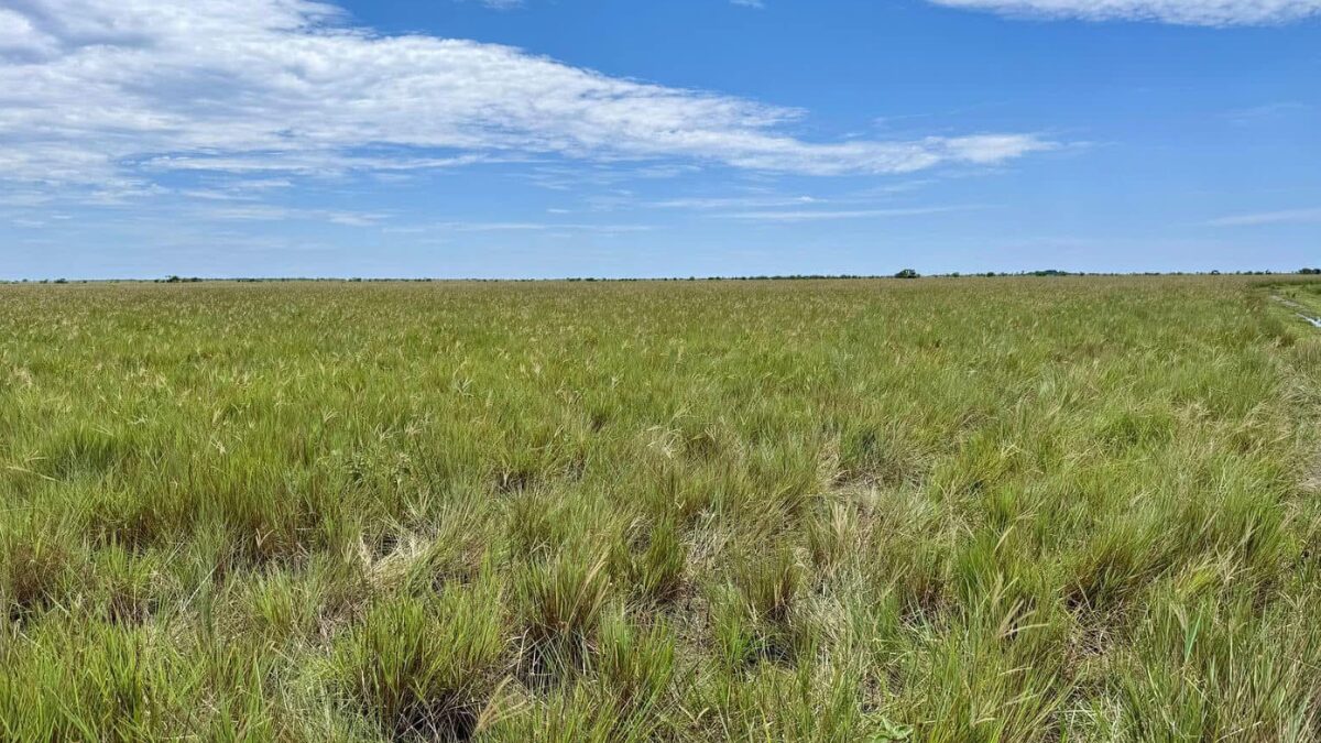 hallazgos fiscales por 160 000 millones en la agencia nacional de tierras hallazgos fiscales por 160 000 millones en la agencia nacional de tierras web 40