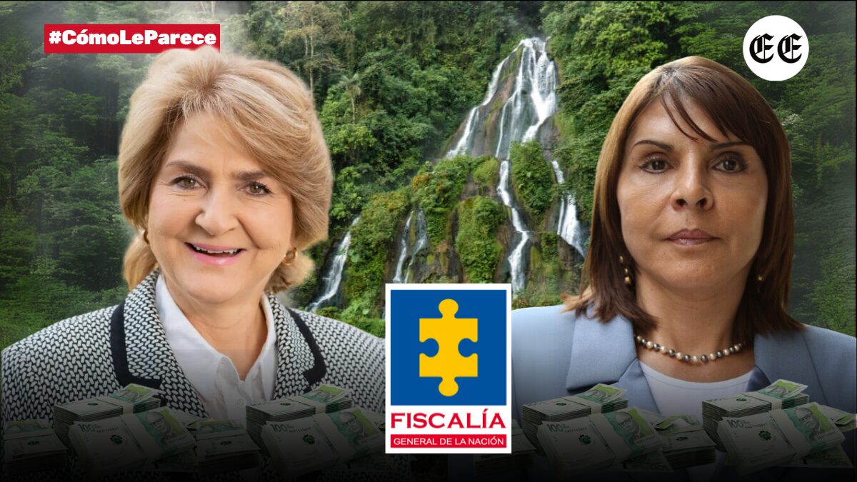 la novela de elsa gladys y estella cifuentes documentos presuntamente falsos los cargos de la fiscalia la dilatacion del proceso testimonios estremecedores la novela de elsa gladys y estella cifuentes 26