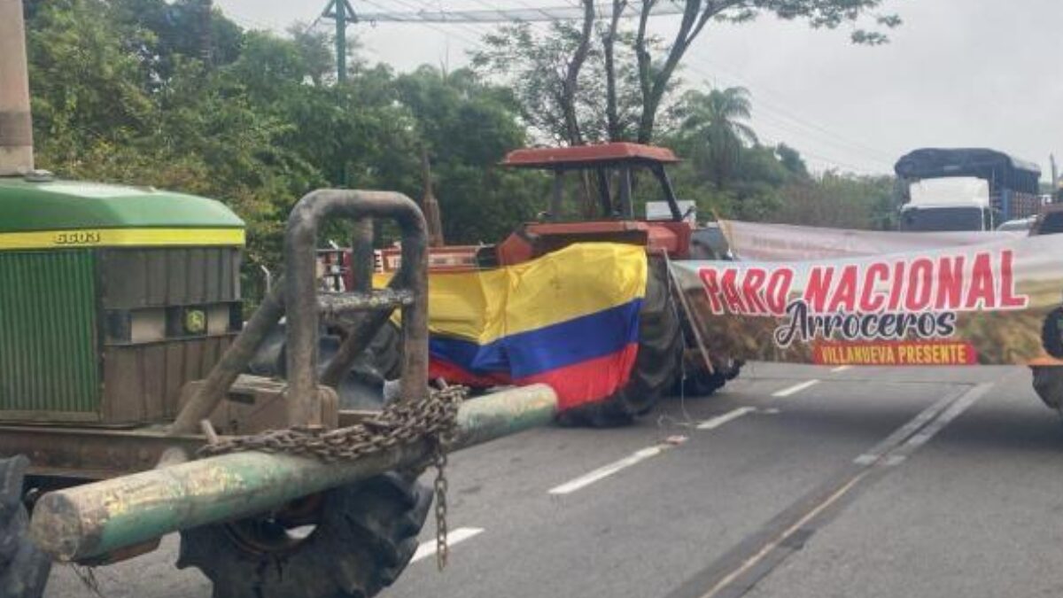 paro arrocero en colombia principio de acuerdo con el gobierno pero incertidumbre entre los productores paro arrocero en colombia principio de acuerdo con el gobierno pero incertidumbre entre los prod