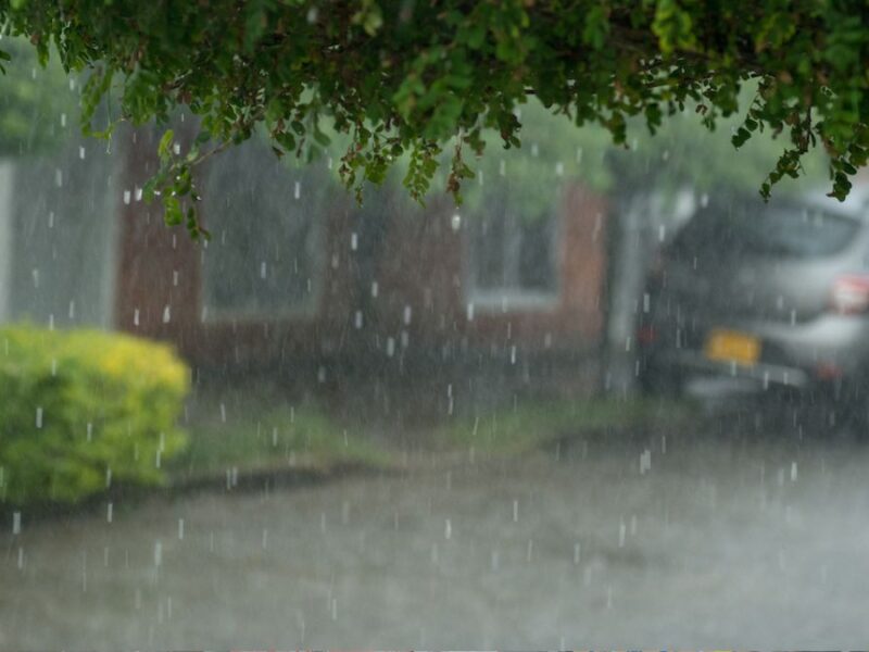 preocupado por las lluvias le contamos que esta pasando copia de web 2025 03 31t192029.492