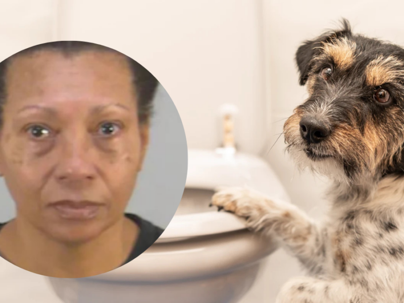 una mujer es acusada de ahogar a su perro en el inodoro de un bano para poder volar web 2025 03 21t171657.088