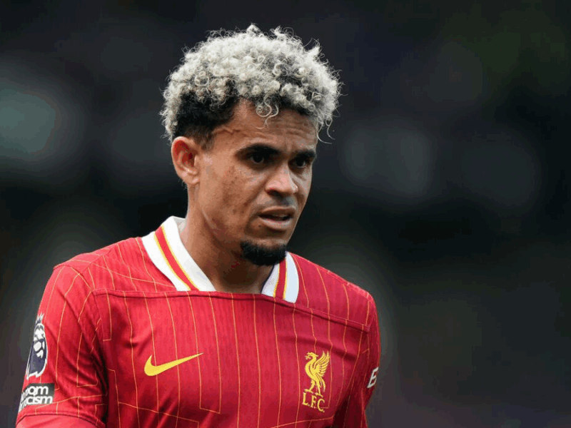 borrador automatico web 2025 04 16t143348.234