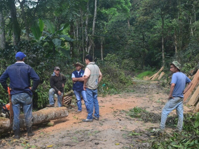 controles ambientales durante la temporada ambiental copia de web 2025 04 15t201240.261