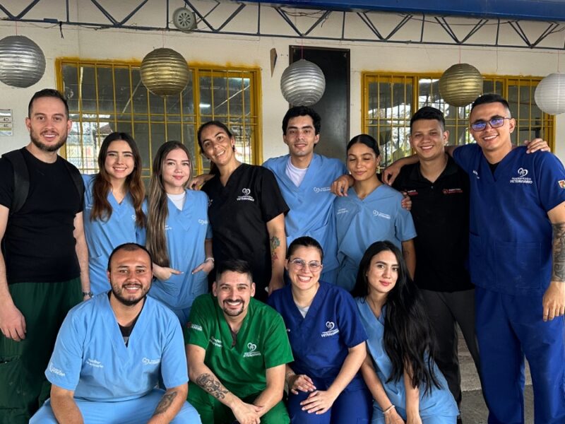 en pereira mega jornada de esterilizacion en el barrio samaria copia de web 2025 04 28t121504.232