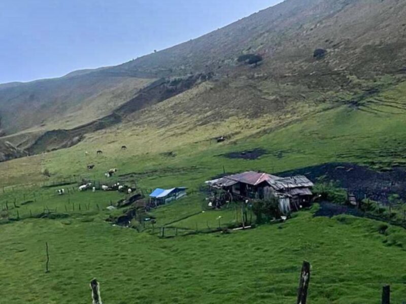 la alcaldia de pereira adquirio un nuevo predio para salvaguardar el ecosistema de la laguna del otun copia de web 2025 04 14t165017.051