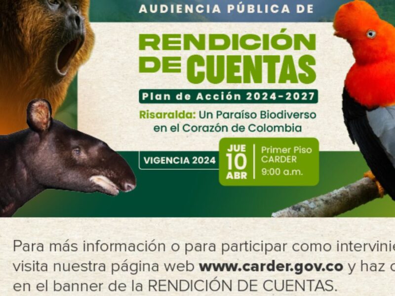 la carder realizara audiencia publica de rendicion de cuentas de la vigencia 2024 copia de web 2025 04 01t173304.227