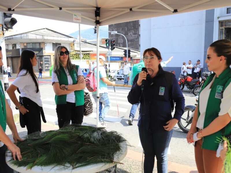 la carder realizo jornada ambiental para fomentar la no distribucion de la palma de cera copia de web 2025 04 15t205032.033