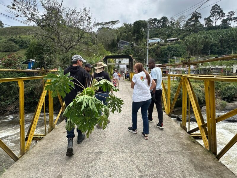 la juventud pereirana se une para sembrar vida en la ciudad copia de web 2025 04 29t133833.366