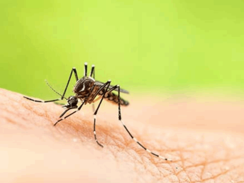 minsalud expide la resolucion que declara emergencia sanitaria por fiebre amarilla web 2025 04 22t102647.011