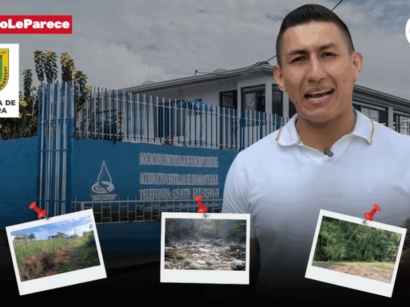 Derriban guaduales, parcelan sin licencia y construyen, la administración lo sabe y no actúa