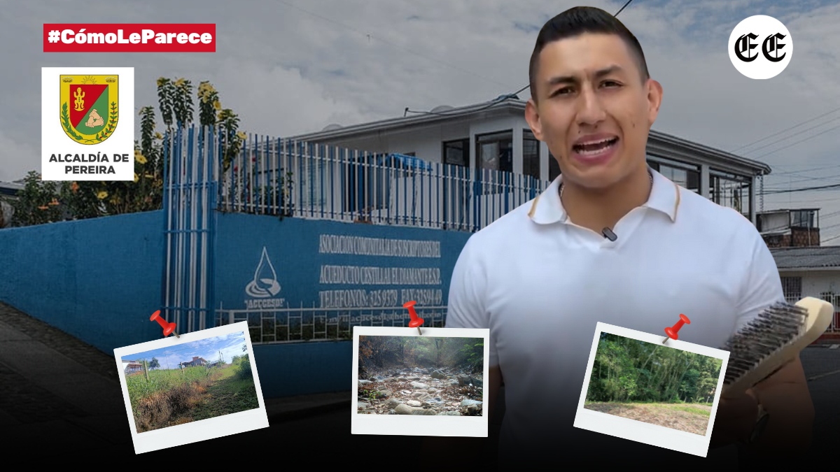derriban guaduales parcelan sin licencia y construyen la administracion lo sabe y no actua img 5490