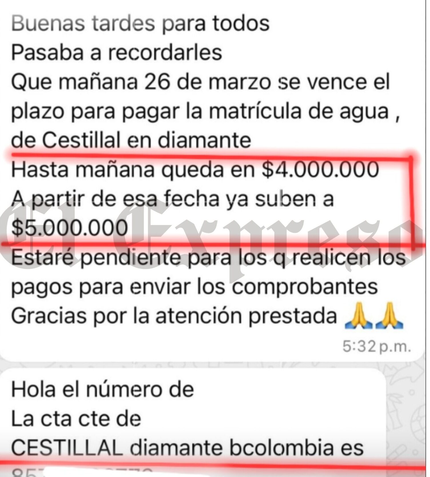 Derriban guaduales, parcelan sin licencia y construyen, la administración lo sabe y no actúa 7 derriban guaduales parcelan sin licencia y construyen la administracion lo sabe y no actua marca de agua 3 e1748713437781
