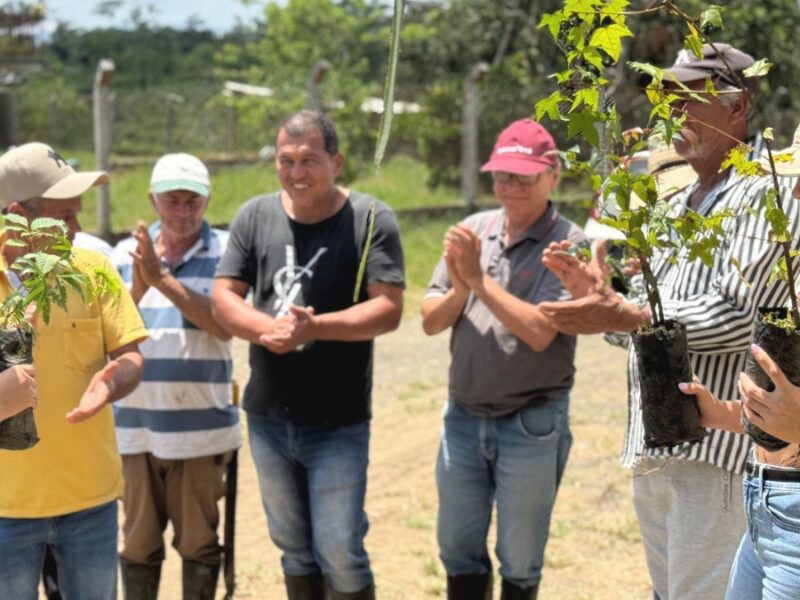 entrega provisional del predio la comuna representa un avance para la paz la memoria y la reforma rural en pereira copia de web 2025 05 12t133911.269