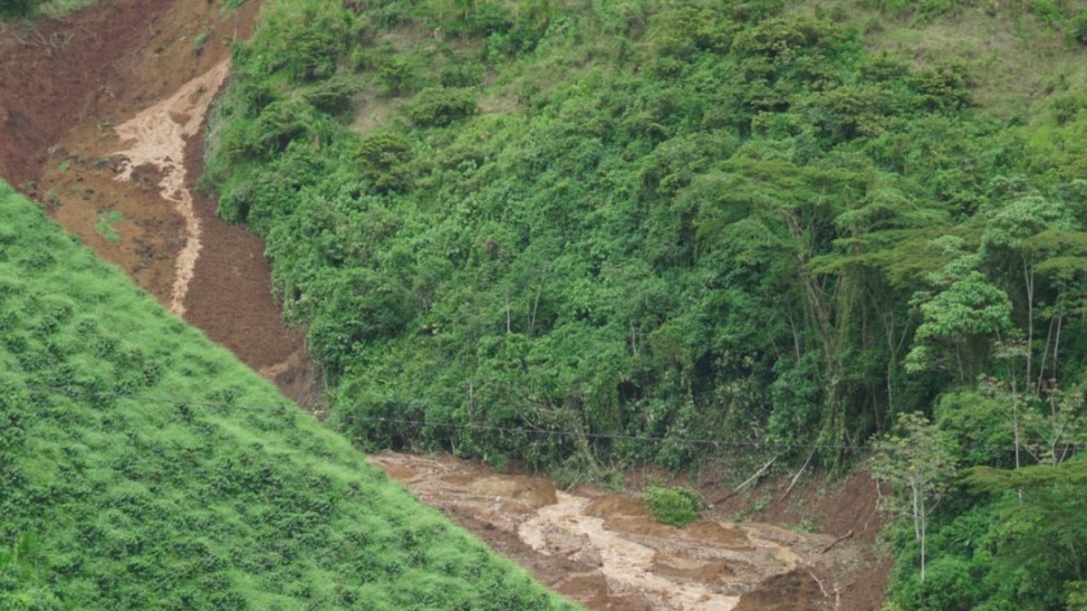 la carder y autoridades atienden emergencia por avalanchas en marsella copia de web 2025 05 18t174127.729