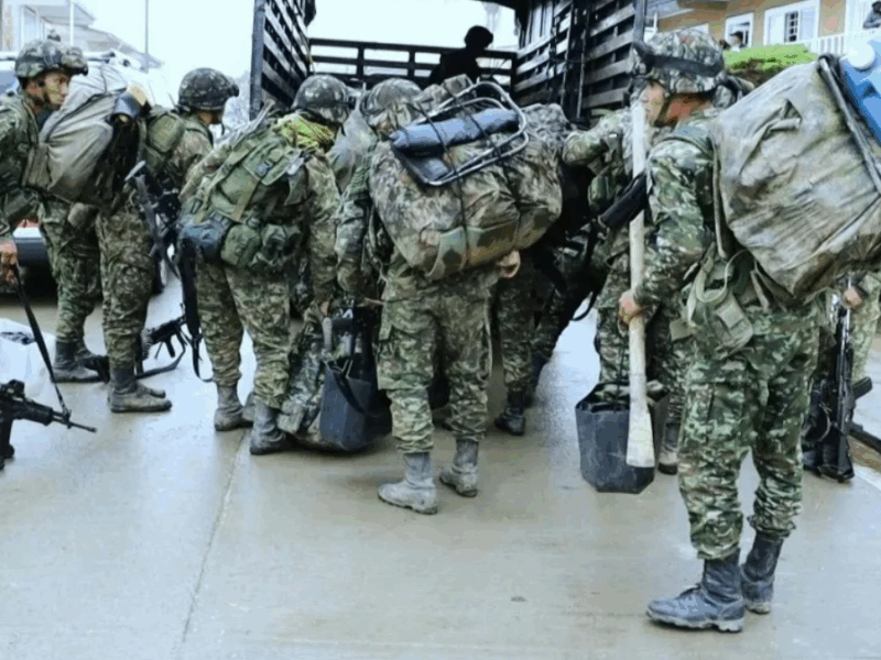 borrador automatico web 73