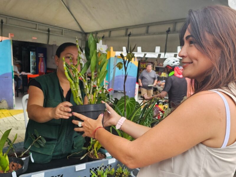 Festival de Orquídeas un espacio que reunió a los amantes de las flores en Pereira