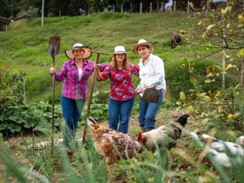 borrador automatico copia de web 2025 07 27t230558.610