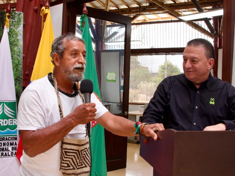 borrador automatico copia de web 2025 07 28t184152.452