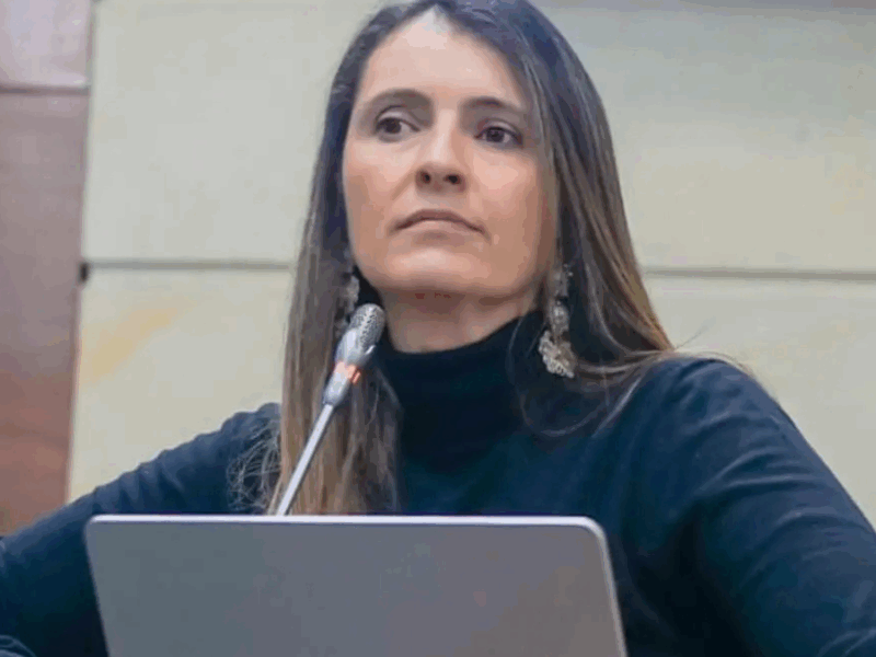 borrador automatico web 2025 07 31t141953.149