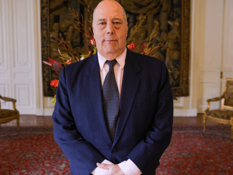 borrador automatico web 49