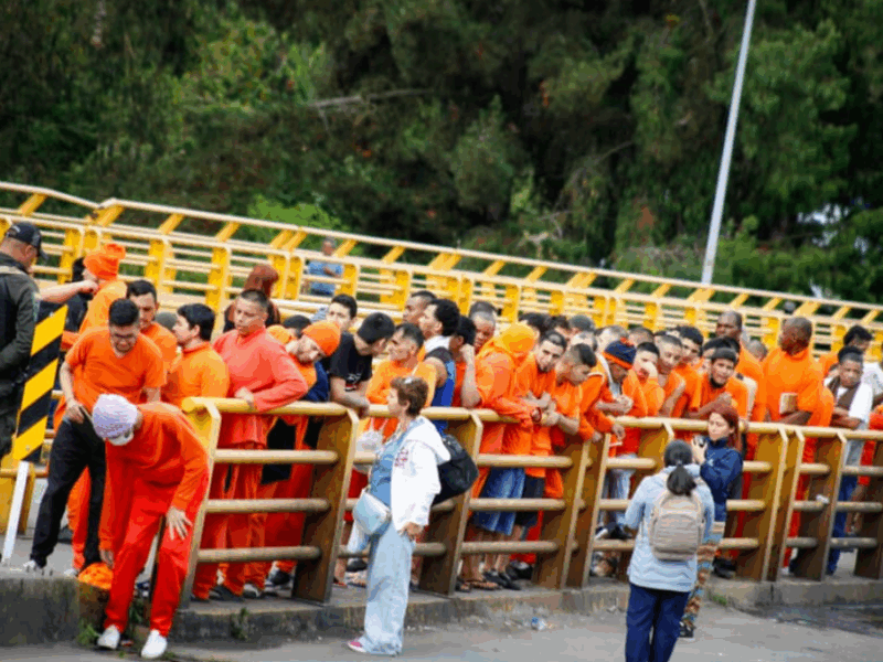 borrador automatico web 57