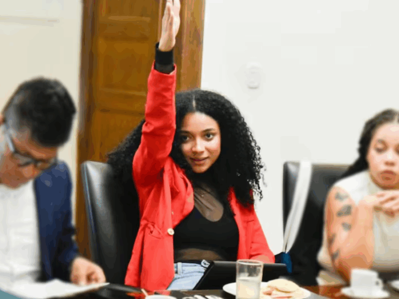 borrador automatico web 60