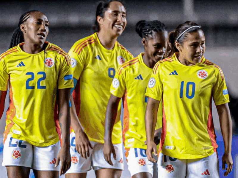 borrador automatico web 64